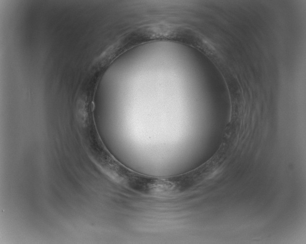 X0000062650215200512281655