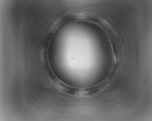 X0000062650217200512281655