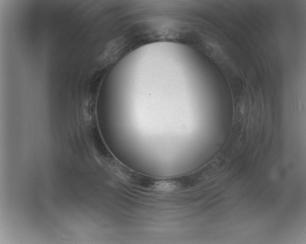 X0000062650218200512281655