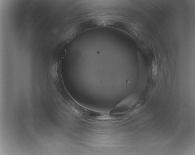 X0000062650219200512281655