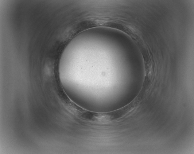 X0000062650221200512281655