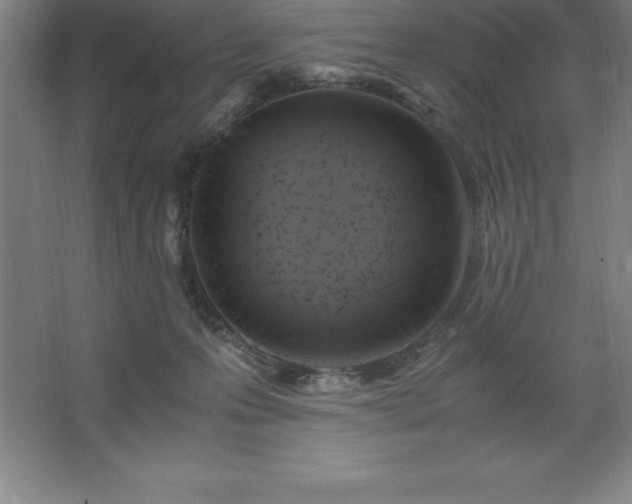 X0000062650223200512281655