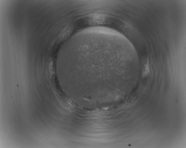 X0000062650224200512281655