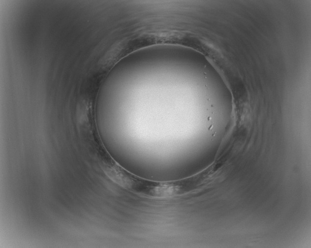 X0000062650225200512281655