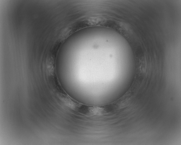 X0000062650226200512281655