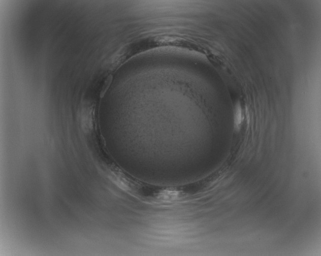 X0000062650227200512281655