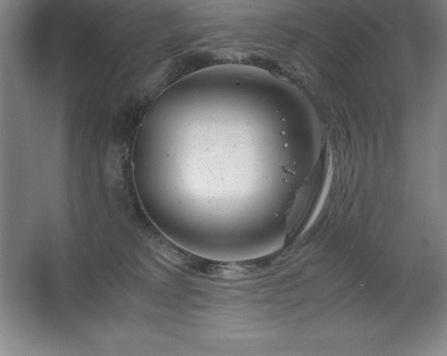 X0000062650229200512281655