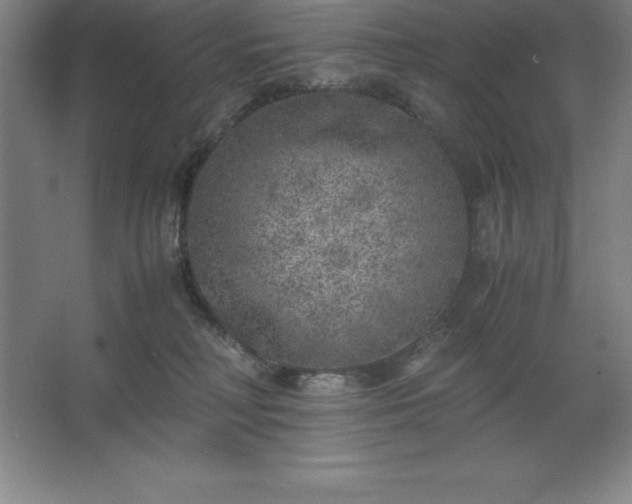 X0000062650230200512281655