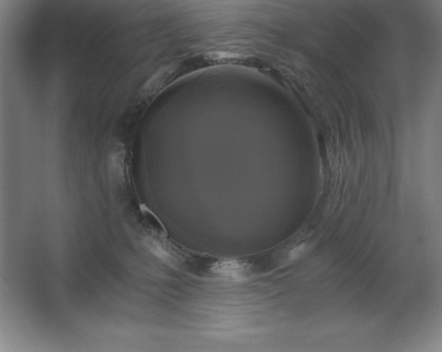 X0000062650231200512281655