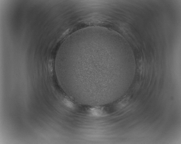 X0000062650232200512281655