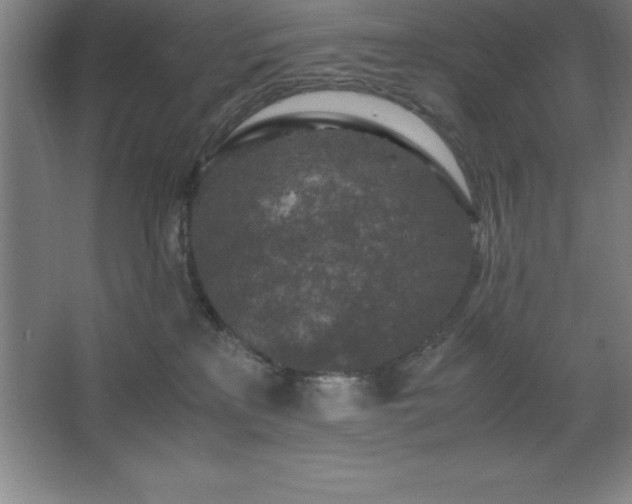 X0000062650233200512281655