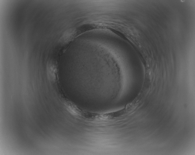 X0000062650235200512281655