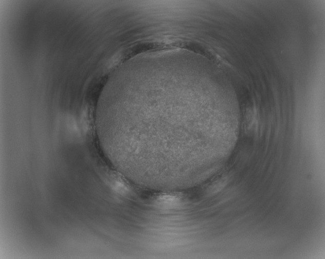 X0000062650236200512281655