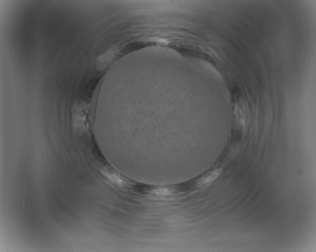 X0000062650237200512281655