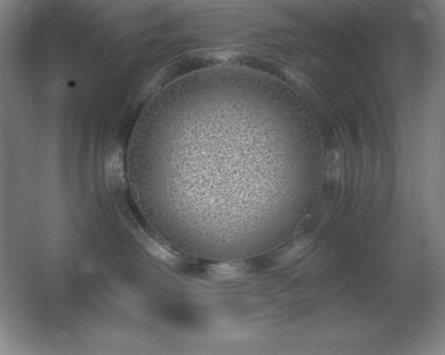 X0000062650238200512281655