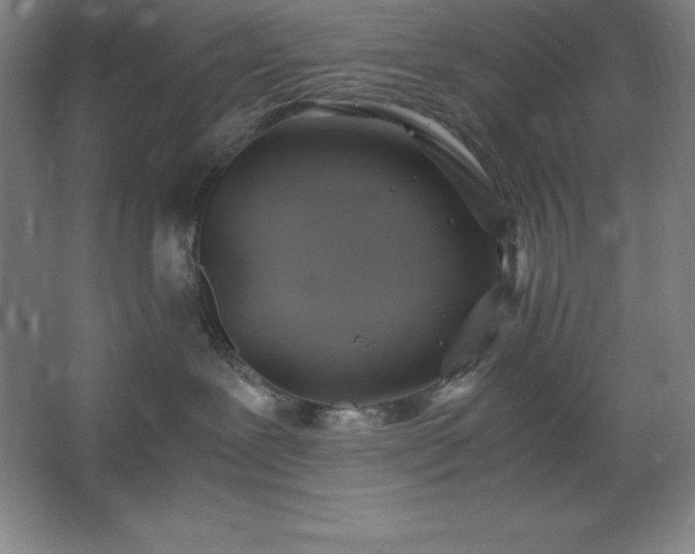 X0000062650239200512281655