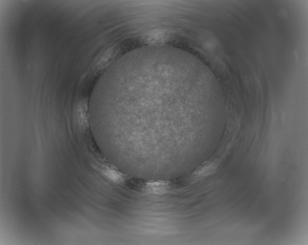 X0000062650240200512281655