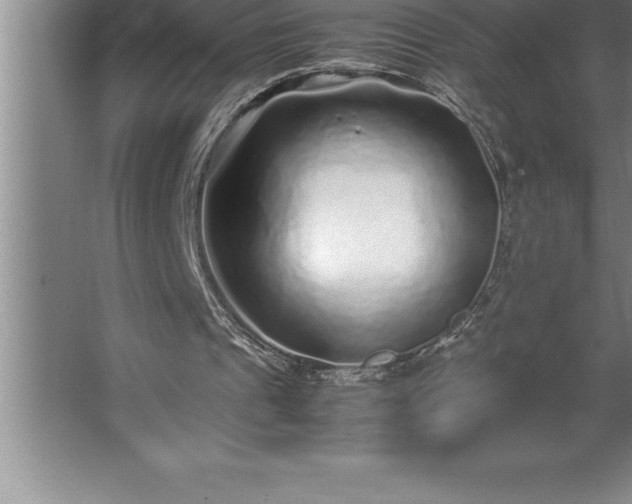 X0000062650241200512281654