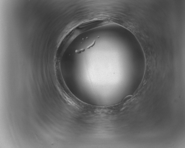 X0000062650242200512281654