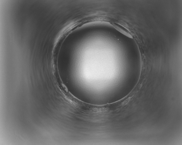 X0000062650245200512281654