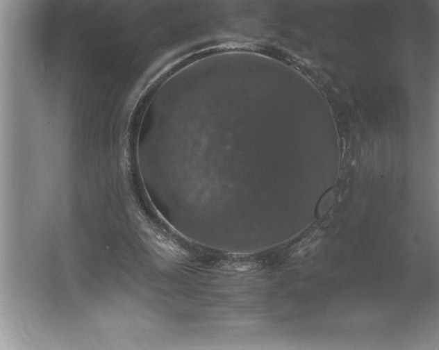 X0000062650247200512281654