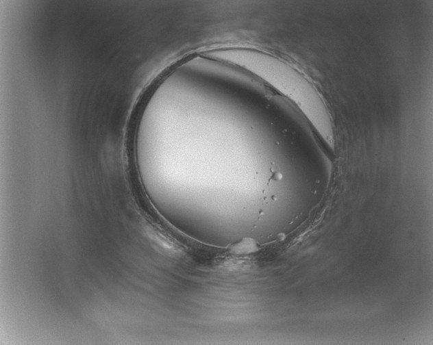 X0000062650248200512281654