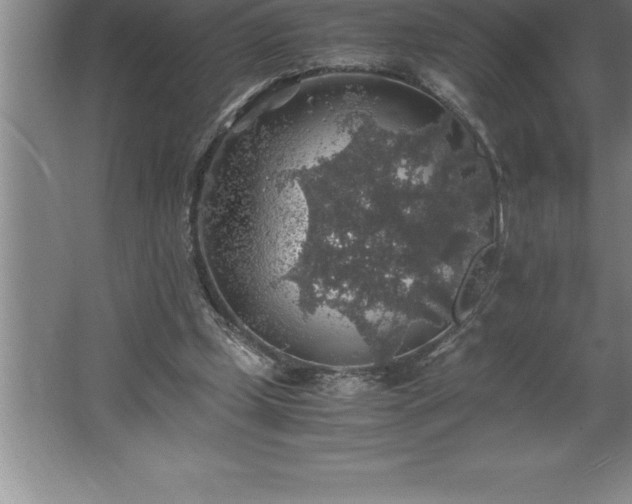 X0000062650249200512281654