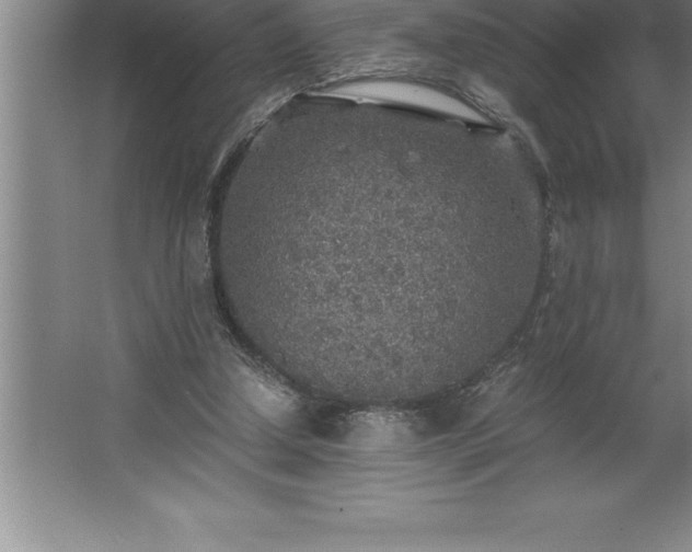 X0000062650250200512281654