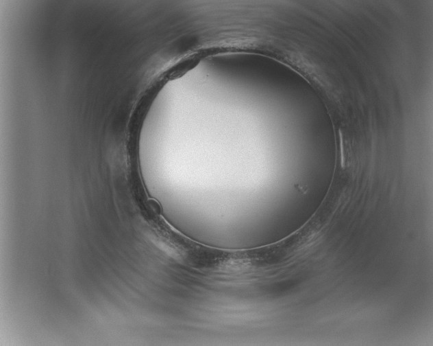 X0000062650252200512281654