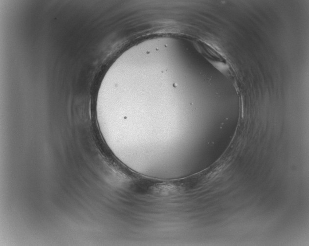 X0000062650253200512281654