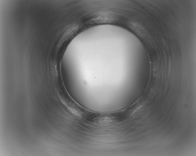 X0000062650254200512281654