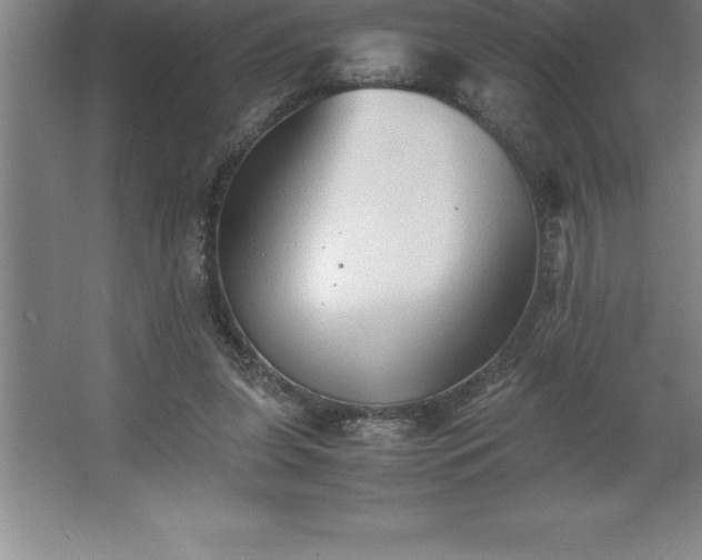 X0000062650255200512281654