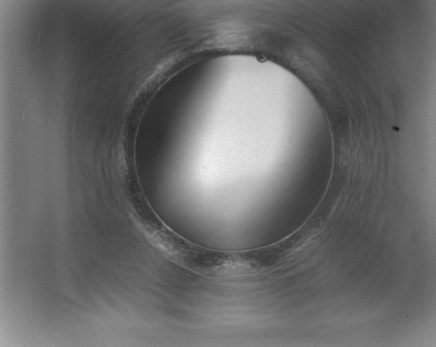 X0000062650256200512281654