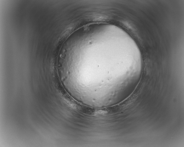 X0000062650257200512281654