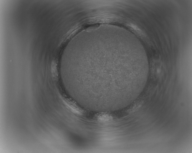 X0000062650258200512281654