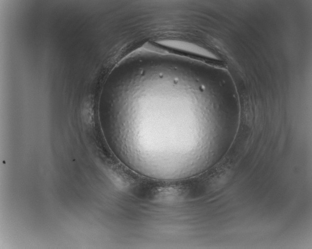 X0000062650259200512281654