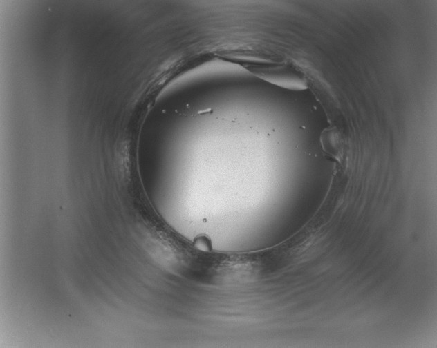 X0000062650260200512281655