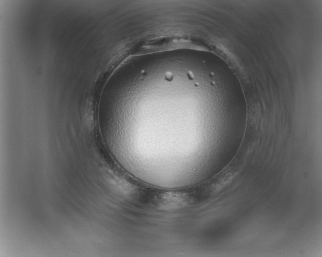 X0000062650261200512281655