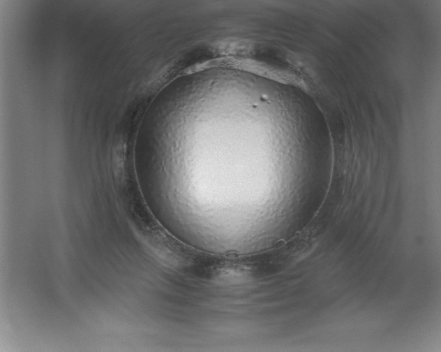 X0000062650263200512281655