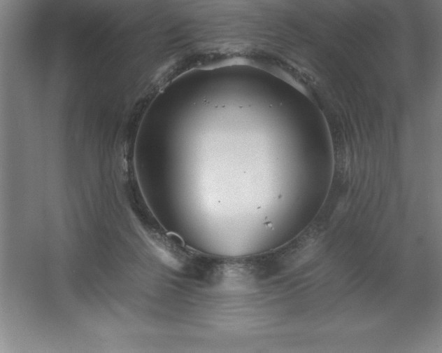 X0000062650264200512281655