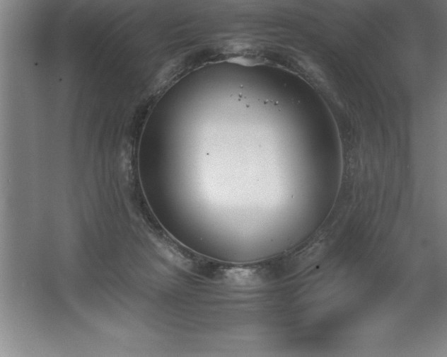 X0000062650265200512281655