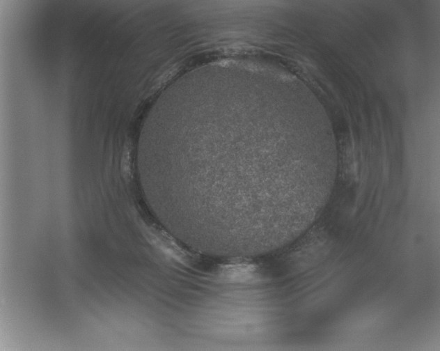 X0000062650266200512281655