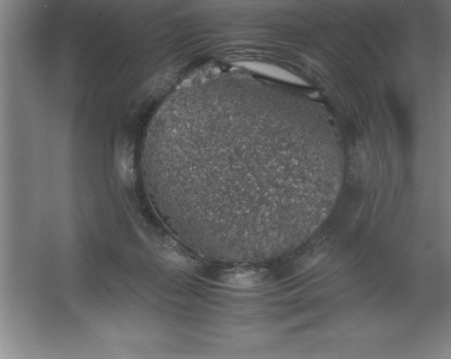 X0000062650267200512281655