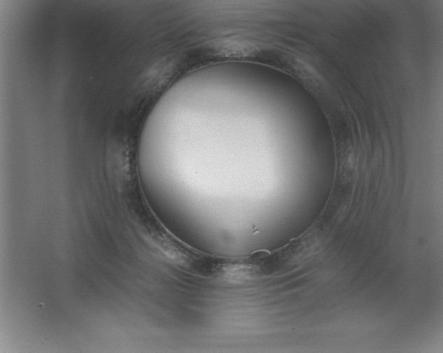 X0000062650268200512281655