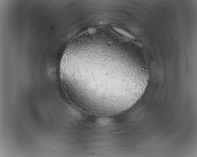 X0000062650269200512281655