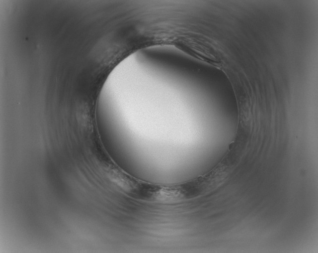 X0000062650270200512281655