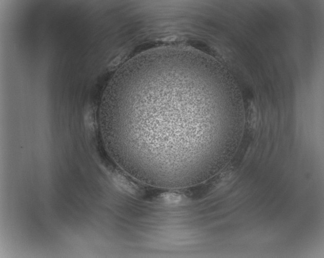 X0000062650272200512281655