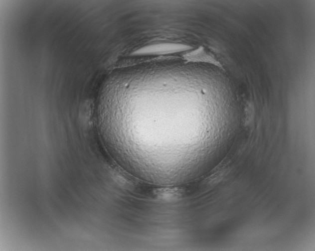 X0000062650273200512281655