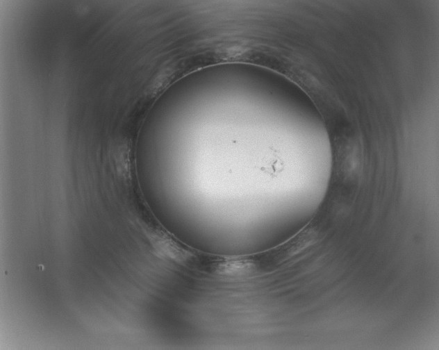 X0000062650274200512281655