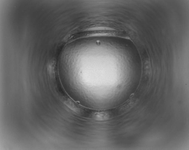 X0000062650275200512281655